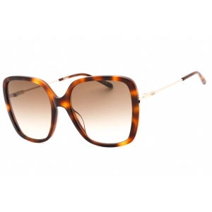 Chloe Women's Sunglasses - Havana/Gold Butterfly Full Rim Plastic Frame | CH0173S 002
