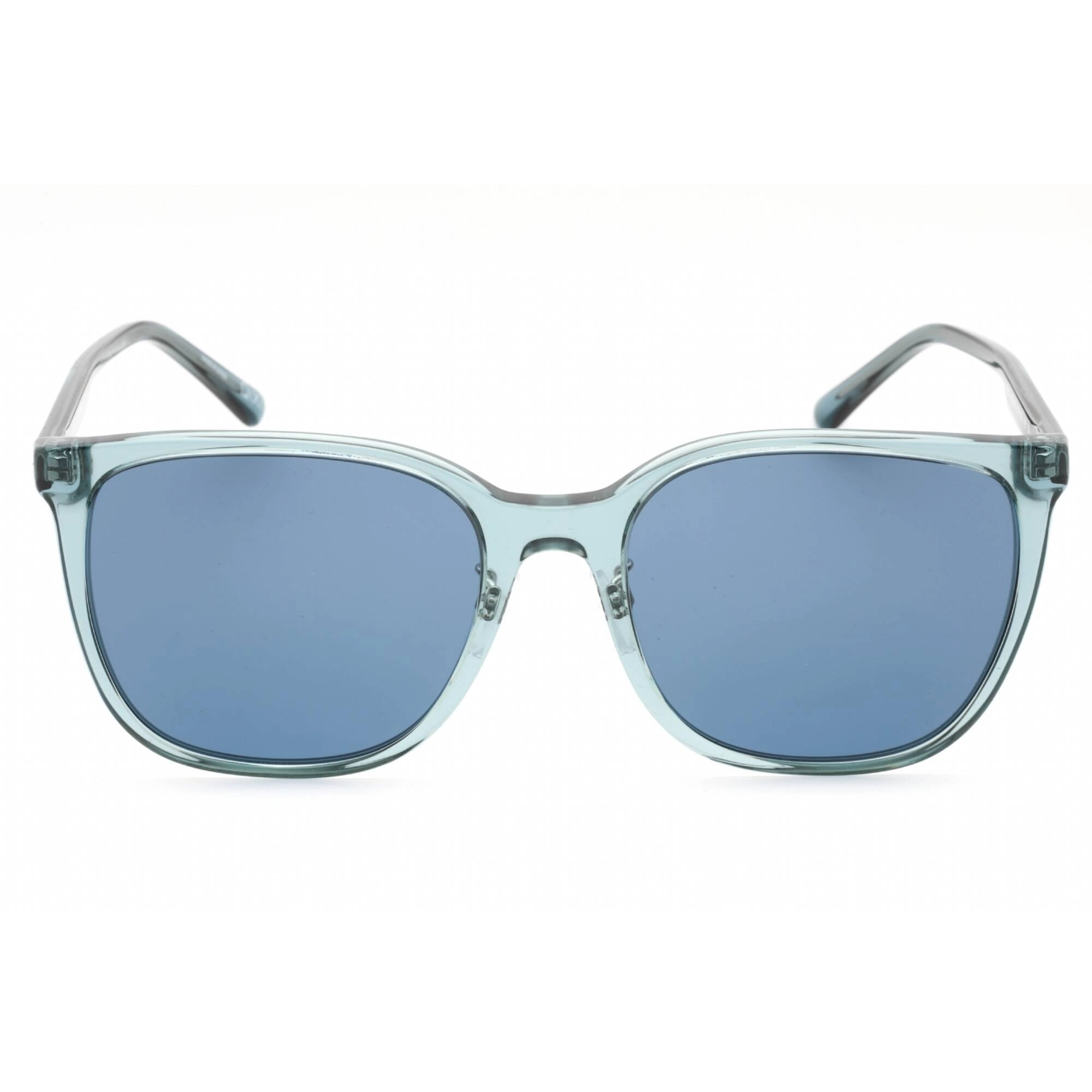 Emporio Armani Women's Sunglasses - Transparent Shiny Blue Frame | 0EA4206D 593480