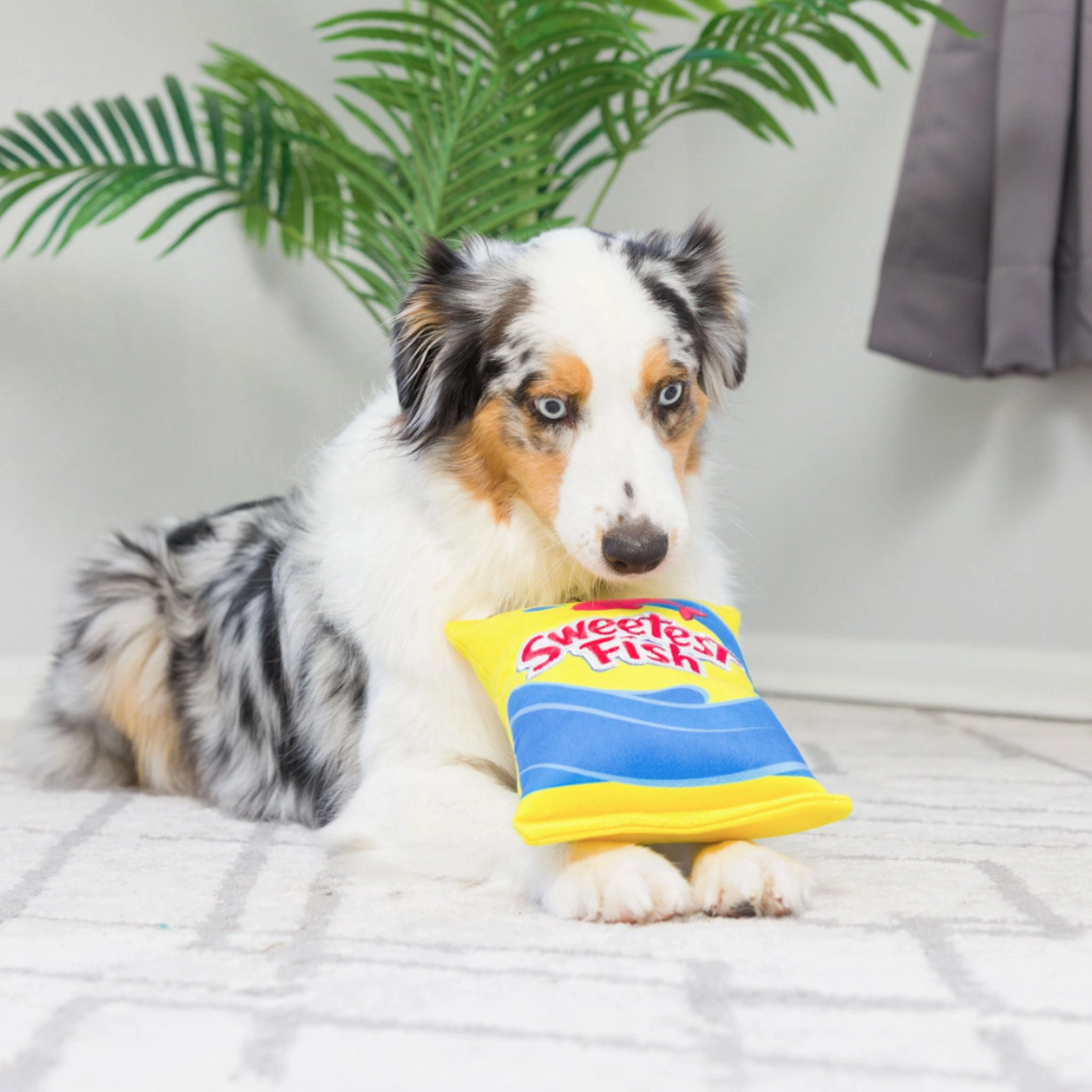 Lulubelles Sweetest Fish Dog Toy