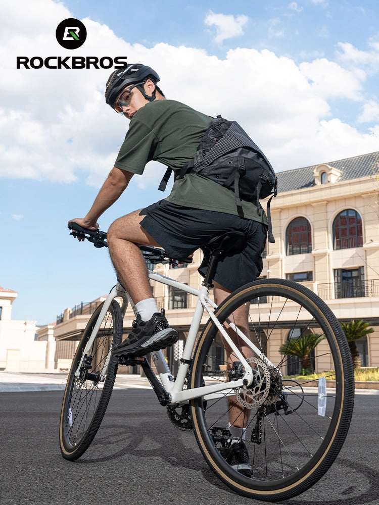ROCKBROS 20-Speed Flat Handlebar Road Bike Carbon Fiber Fork Aluminum Frame Hydraulic Disc Brakes 11-32T